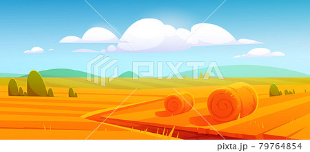 Farm landscape with hay bales on agriculture field Farm landscape with hay bales on agriculture field 79764854