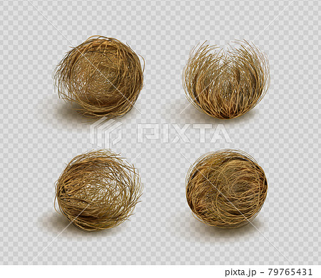 Tumbleweed, dry weed ball in desert 79765431