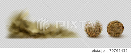 Tumbleweeds and sandstorm cloud, desert plants 79765432