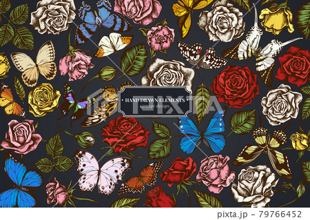 Floral design on dark background with menelaus blue morpho, giant swordtail, blue morpho, lemon Floral design on dark background with menelaus blue morpho, giant swordtail, blue morpho, lemon 79766452