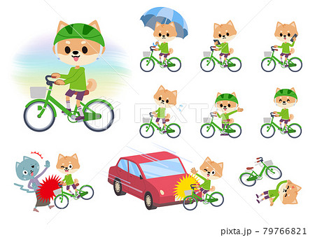 シティサイクルに乗ったイヌの男の子のセット 79766821