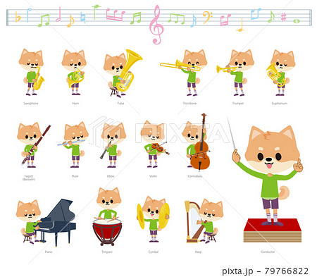 クラシック音楽演奏に関するイヌの男の子のセット 79766822