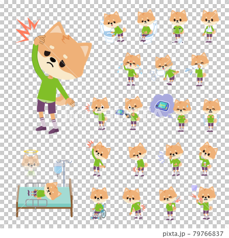 Injured or sick dog boy set 79766837