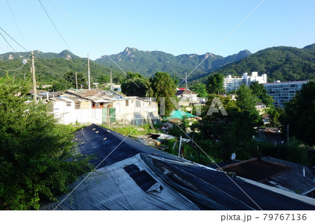 ランドマーク 風景 花 79767136