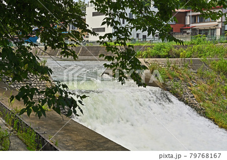 小川町散歩:栃本堰 栃本親水公園 小川町散歩:栃本堰 栃本親水公園 79768167