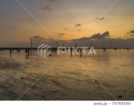 台湾・台中市 夕方の高美湿地 Gaomei Wetlands, Taichung, Taiwan 79768590