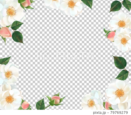 柔和色彩的花草白色背景圖框插畫矢量素材 插圖素材 圖庫
