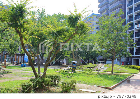 【福岡市】 福岡 長浜公園 【福岡市】 福岡 長浜公園 79770249