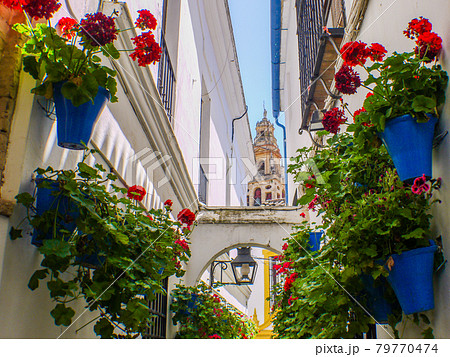 スペイン コルドバの花の小径の写真素材