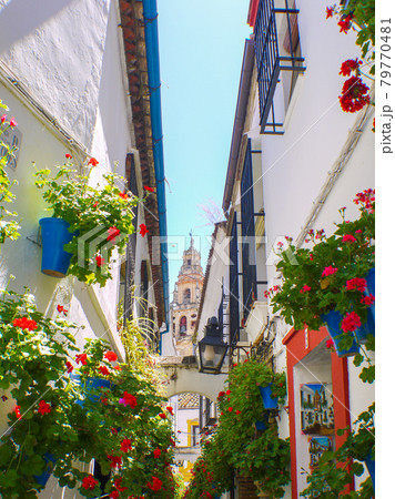 スペイン・コルドバの花の小径 79770481