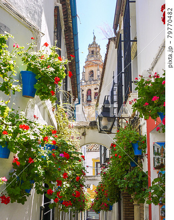 スペイン・コルドバの花の小径 79770482
