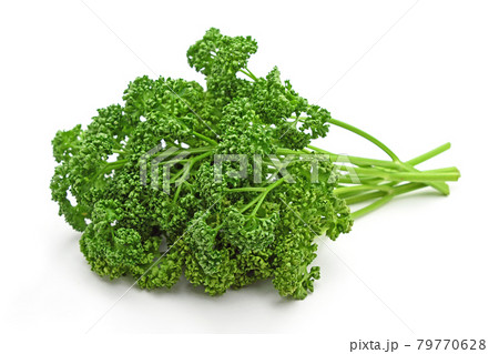 パセリ パセリ 79770628