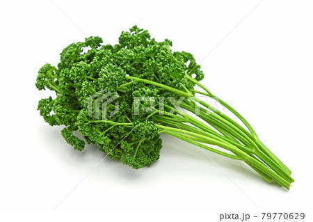 パセリ パセリ 79770629