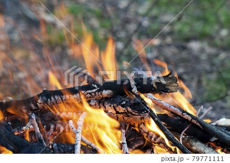Close up of hot burning fire wood coal Close up of hot burning fire wood coal 79771111