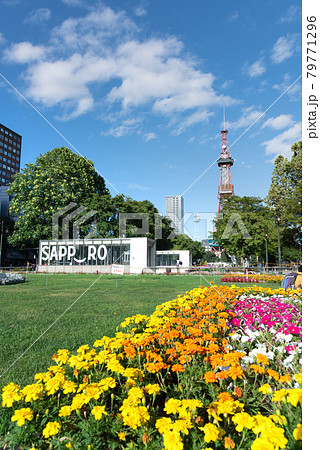 晴れた夏の日の大通公園 北海道札幌市 晴れた夏の日の大通公園 北海道札幌市 79771296
