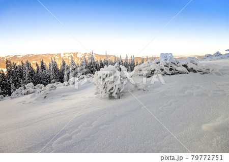 Snow covered hills in mountains Snow covered hills in mountains 79772751