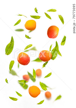 Falling juicy ripe apricot with green leaves isolated on white background. Flying defocusing slices of fruit. 79773095