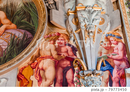 interiors and details of castle of Fontainebleau, France interiors and details of castle of Fontainebleau, France 79773450