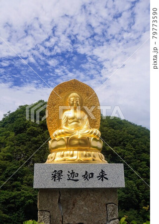 出釈迦寺奥の院捨身ヶ岳弾定の参道から見る風景②金色の釈迦如来【香川県善通寺市】 出釈迦寺奥の院捨身ヶ岳弾定の参道から見る風景②金色の釈迦如来【香川県善通寺市】 79773590