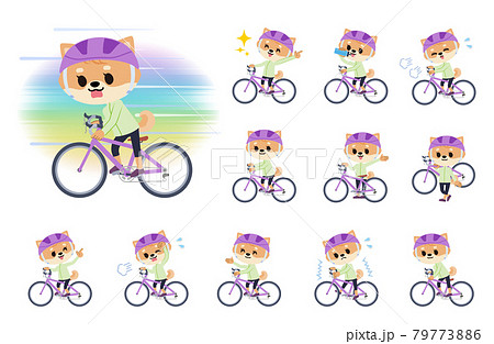 ロードバイクに乗ったイヌの女の子のセット 79773886