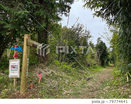 気仙沼オルレコース 79774641