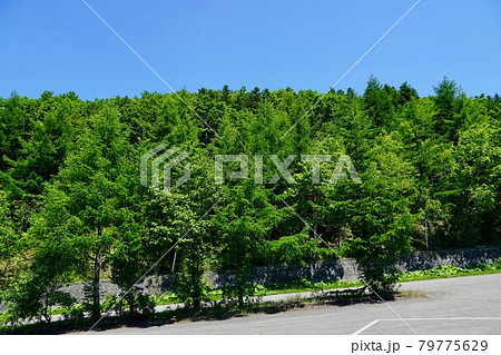 扇ヶ原展望台(鹿追町) 扇ヶ原展望台(鹿追町) 79775629