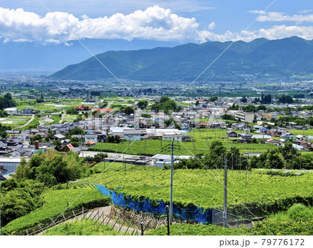 山梨県 塩山フルーツライン 79776172