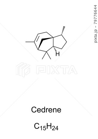 Cedrene, chemical formula and skeletal structure. Alpha-cedrene, also known as cedr-8-ene, an organic compound, found in cedar oil, an essential oil, used as an aroma compound. Illustration. Vector. 79776644