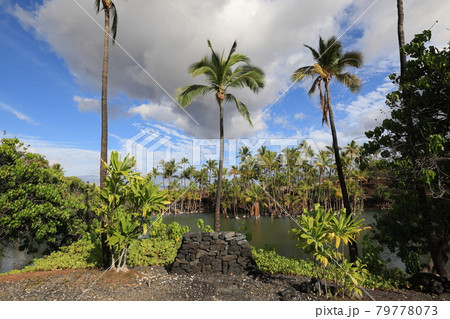世界3大パワースポット ハワイ島カラフイプアア歴史公園内のフィッシュポンドの写真素材