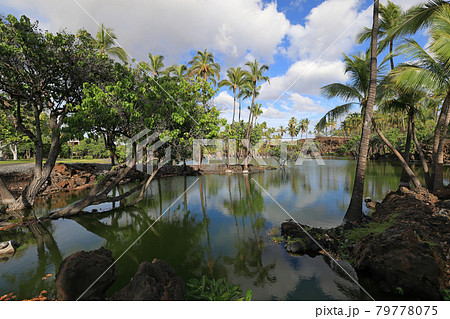 世界3大パワースポット ハワイ島カラフイプアア歴史公園内のフィッシュポンドの写真素材