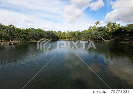 世界3大パワースポット ハワイ島カラフイプアア歴史公園内のフィッシュポンドの写真素材 世界3大パワースポット ハワイ島カラフイプアア歴史公園内のフィッシュポンドの写真素材