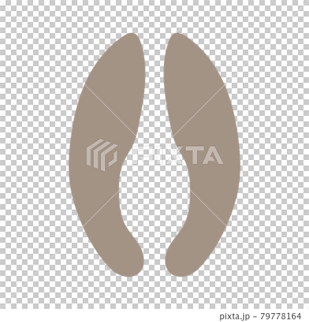 長頸鹿腳印 79778164