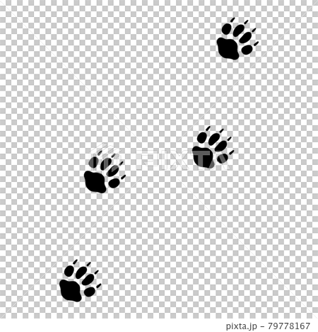 Footprints of the fox 79778167