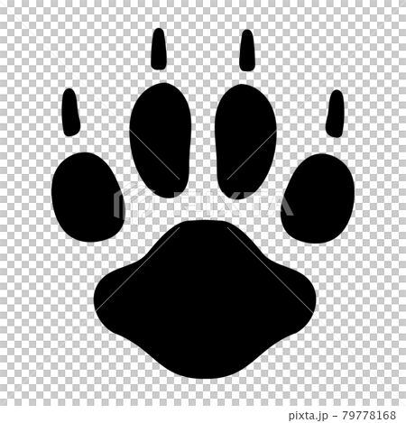 狐狸的腳印 狐狸的腳印 79778168