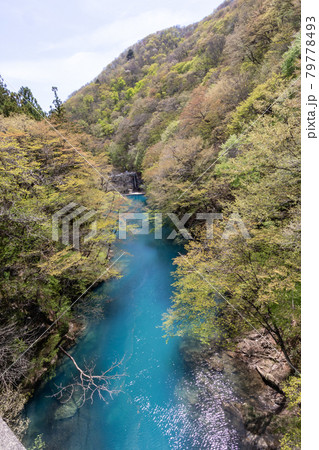 新緑シーズンの四万温泉 四万川周辺 新緑シーズンの四万温泉 四万川周辺 79778493