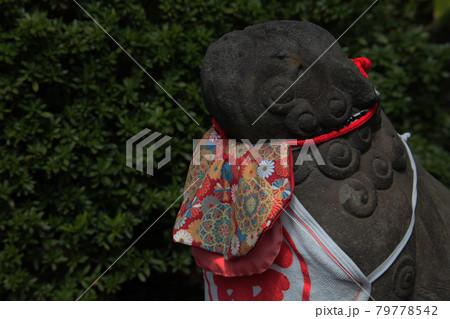 東京浅草・浅草寺境内・恵日須大黒天堂の狛犬獅子・吽形 東京浅草・浅草寺境内・恵日須大黒天堂の狛犬獅子・吽形 79778542