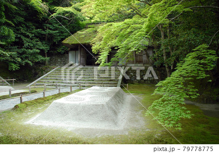 法然院　新緑の境内　京都市左京区鹿ヶ谷 79778775