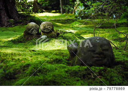 三千院　わらべ地蔵　京都市左京区大原 79778869