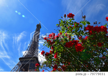 フランス・パリ、薔薇とエッフェル塔、2021年5月29日撮影 フランス・パリ、薔薇とエッフェル塔、2021年5月29日撮影 79779031