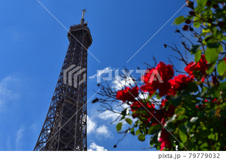 フランス・パリ、薔薇とエッフェル塔、2021年5月29日撮影 フランス・パリ、薔薇とエッフェル塔、2021年5月29日撮影 79779032