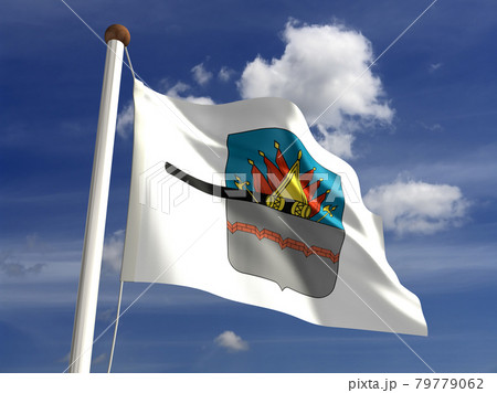 Omsk City flag 79779062