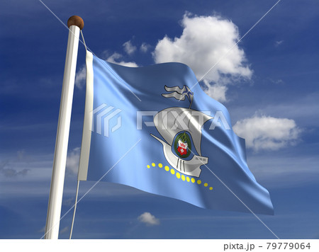 Kaliningrad City flag 79779064