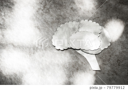 メタルの脳 79779912