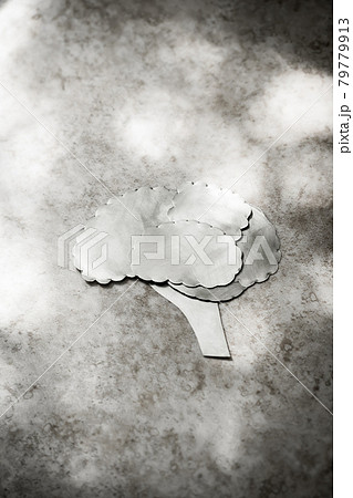 メタルの脳 79779913