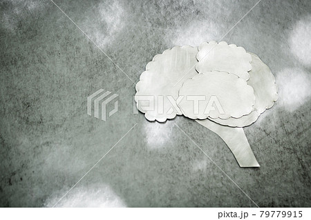 メタルの脳 79779915