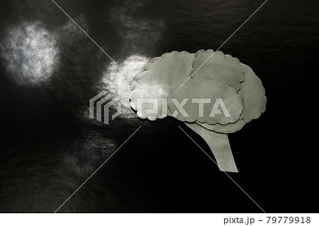 メタルの脳 79779918