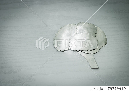 メタルの脳 79779919