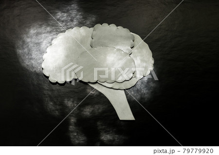 メタルの脳 79779920