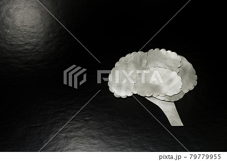 メタルの脳 79779955