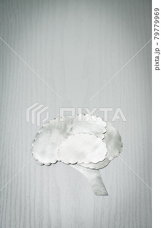 メタルの脳 79779969